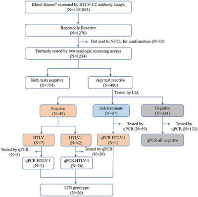 Genetic typing and intrafamilial transmission of human T-lymphotropic virus type 1 in non-endemic areas of China